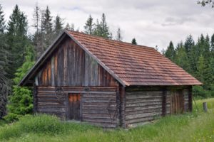 Wooden cabin surrounded by trees and grass.