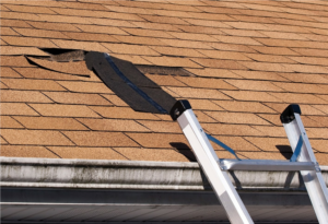 Damaged roof shingles with ladder nearby.
