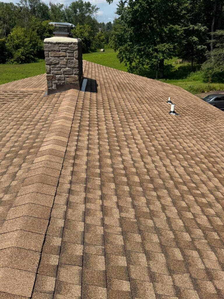 monicas finished roof 2 monicas finished roof 2